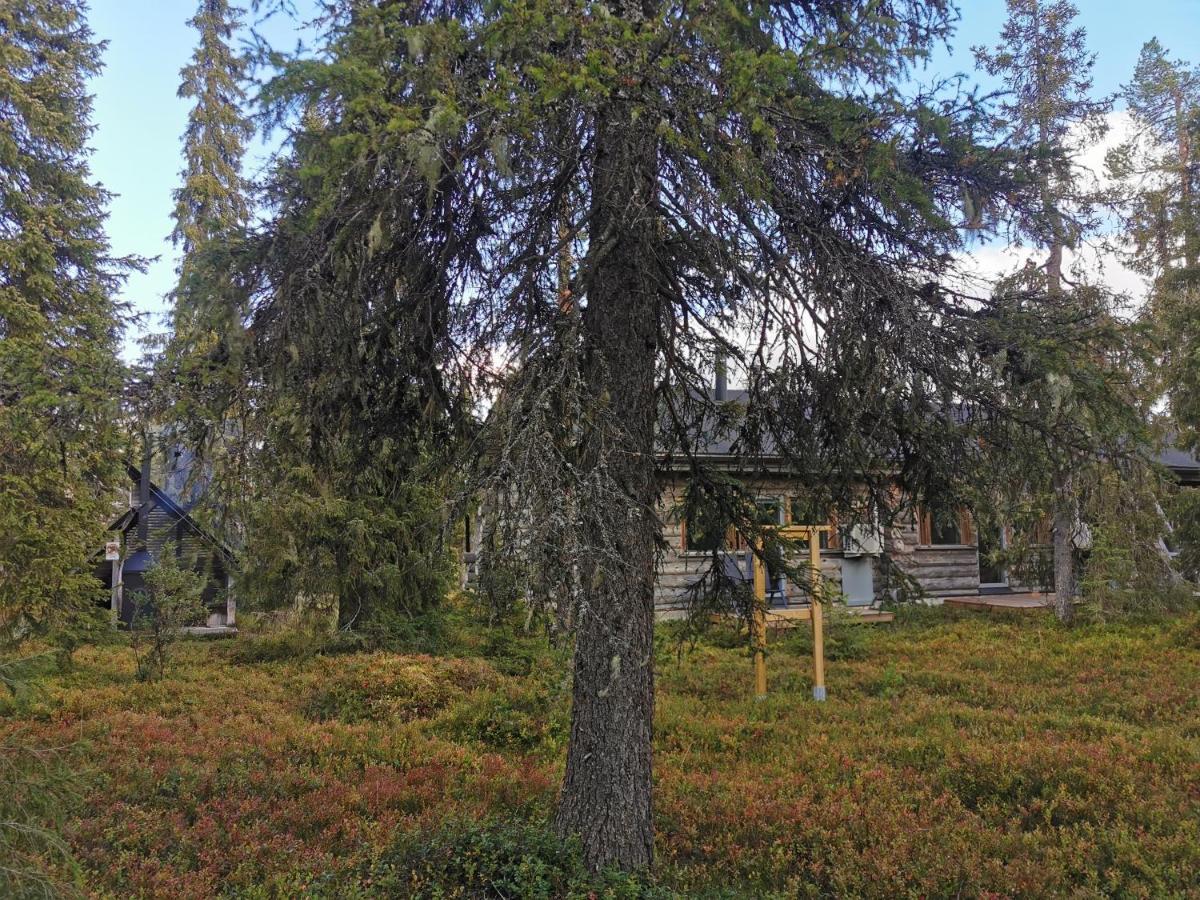 Ruka Inn Exteriör bild
