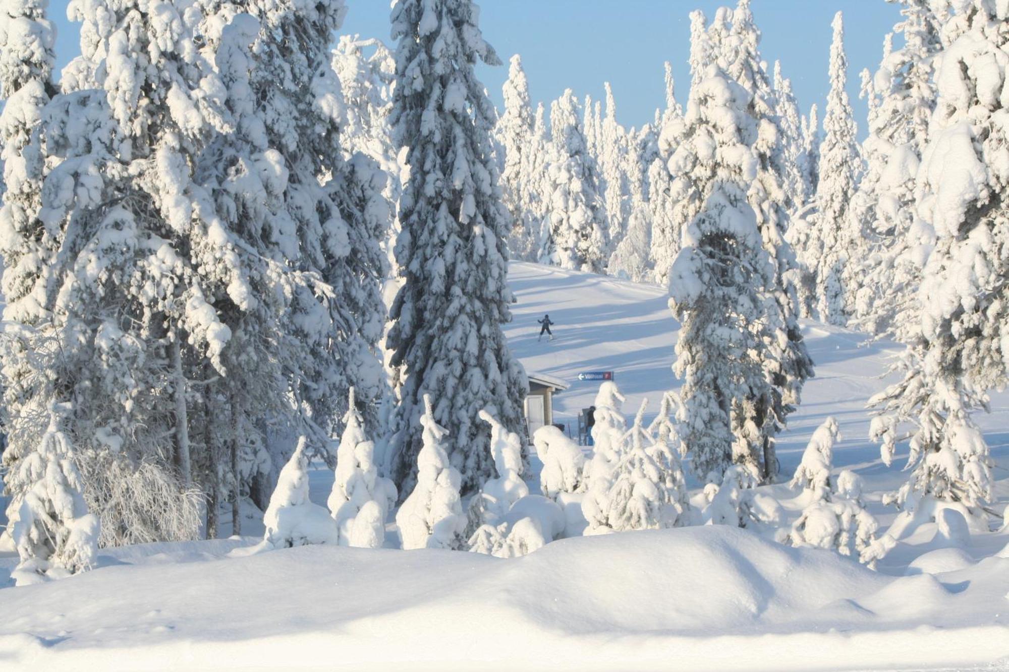 Ruka Inn Exteriör bild